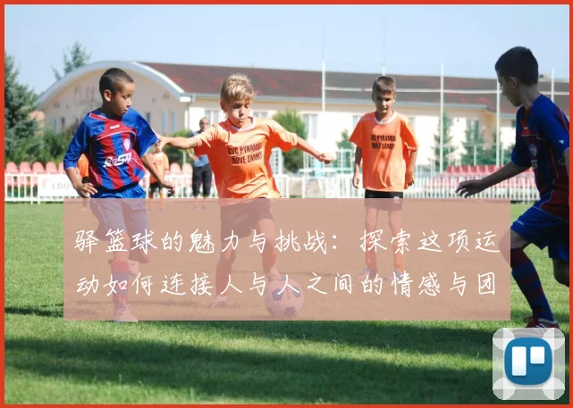 驿篮球的魅力与挑战：探索这项运动如何连接人与人之间的情感与团队精神