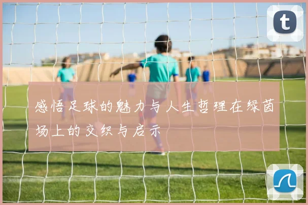 感悟足球的魅力与人生哲理在绿茵场上的交织与启示