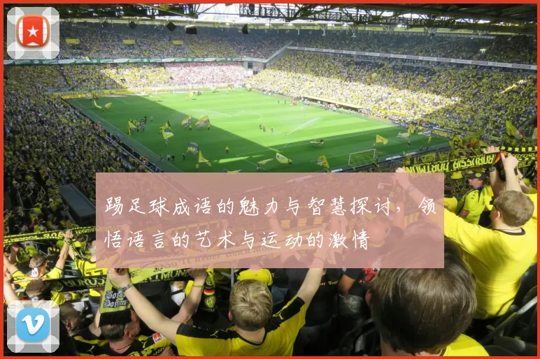 踢足球成语的魅力与智慧探讨，领悟语言的艺术与运动的激情