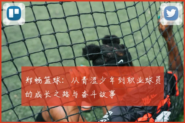 郑畅篮球：从青涩少年到职业球员的成长之路与奋斗故事