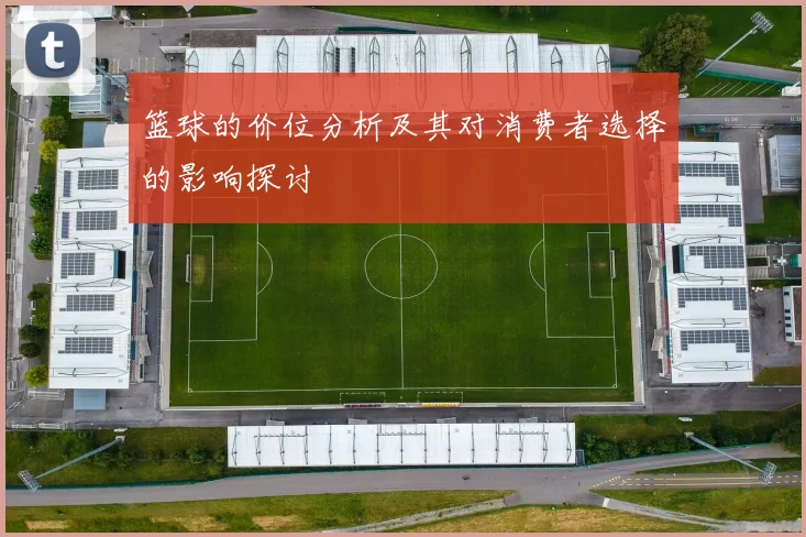篮球的价位分析及其对消费者选择的影响探讨