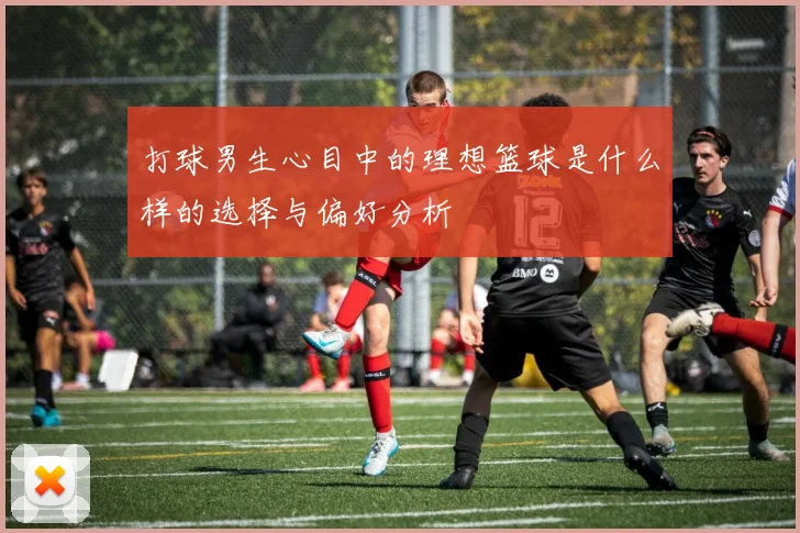 打球男生心目中的理想篮球是什么样的选择与偏好分析