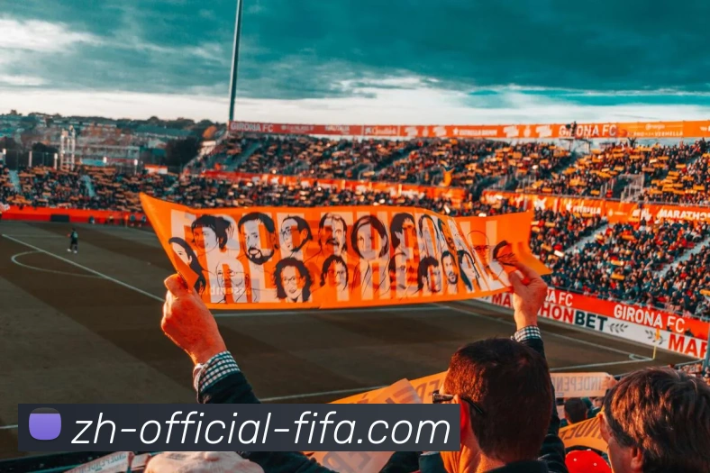 World Cup官方平台生态图